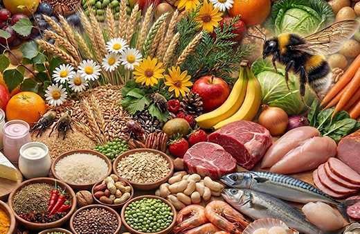 Total Allergy Profile Home Test Kit UK